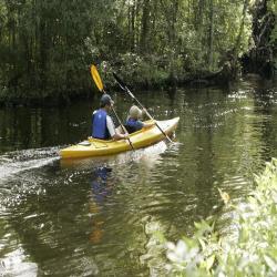 Au Fil De L'eau Au Pas De L'ane