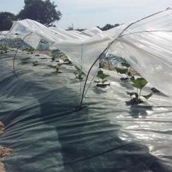 Au Jardin Bioretz