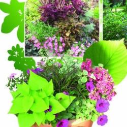 Au Jardin D Olivet
