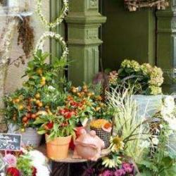 Au Jardin De Julie