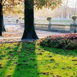 Au Jardin Du Luxembourg
