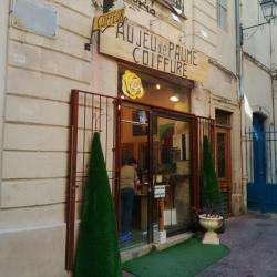 Au Jeu De Paume Coiffure