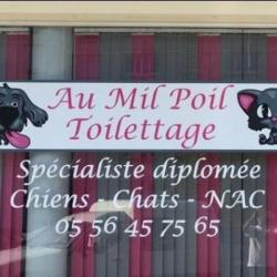 Au Mil Poil