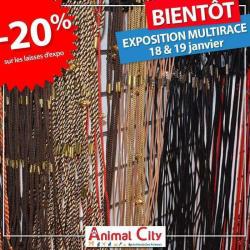 Au Monde Des Animaux