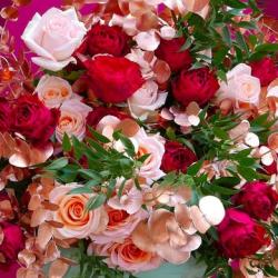 Au Nom De La Rose