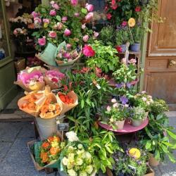 Au Nom De La Rose