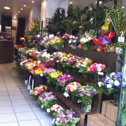 Au Nom Des Fleurs