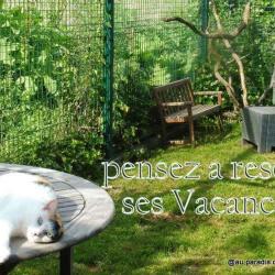 Au Paradis Des Chiens Et Chats