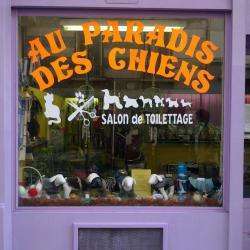 Au Paradis Des Chiens