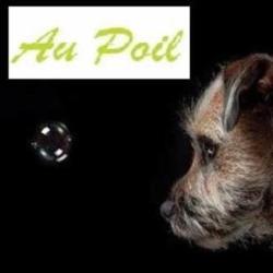 Au Poil