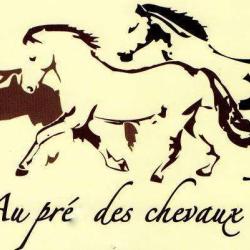Au Pre Des Chevaux