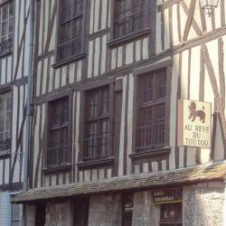 Au Rêve Du Toutou