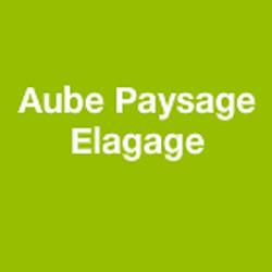 Aube Paysage Elagage