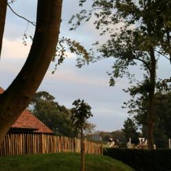 Auberge Bout De Bois