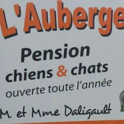 Auberge Canine