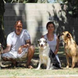 Auberge Canine