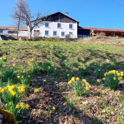 Auberge De La Rételère