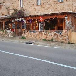 L'oasis Du Lion