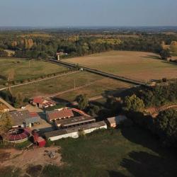 Haras De La Placière