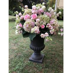 Audace Florale