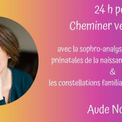 Aude Nollet - Cheminer Vers La Joie