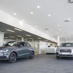 Audi Narbonne Scala