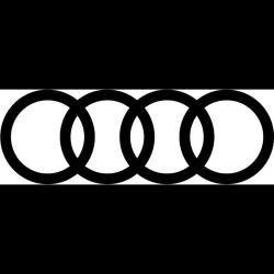 Audi Valence Genin Automobiles