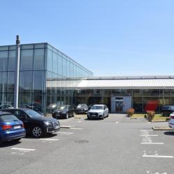 Audi Lille | Vgrf Hauts-de-france