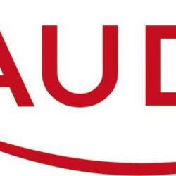 Audiens