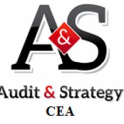 Audit And Strategy