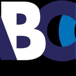 Audit Bilan Conseils Gestion Abcg