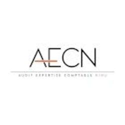 Audit Expertise Comptable Ninu Aecn