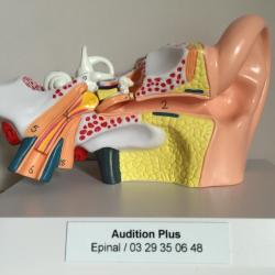 Audition +