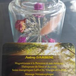 Audrey Dambrine