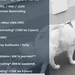 Audry's éducation Canine (mantrailing & Détection Auvergne)