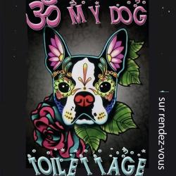Toilettage Canin Aum My Dog