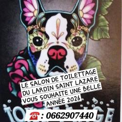 Toilettage Canin Aum My Dog