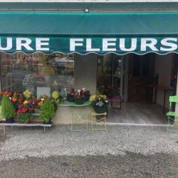 Aure Fleurs