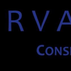 Aurvalia
