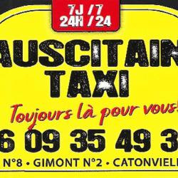 Auscitain Taxi