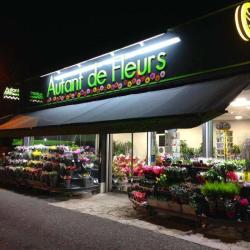 Autant De Fleurs