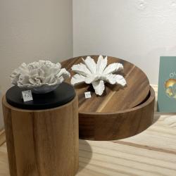 Authentique Concept Store