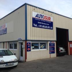 Autosur