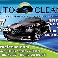 Auto Cleane