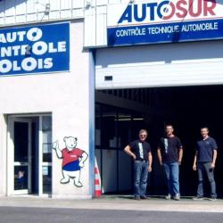 Autosur