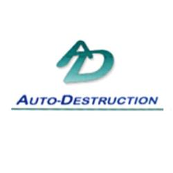 Auto Destruction