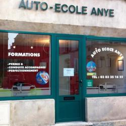 Auto Ecol'anye