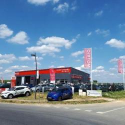 Auto Express - Motrio
