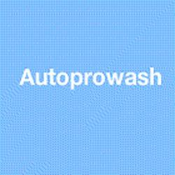 Auto Pro Wash