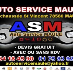 Auto-service-maule